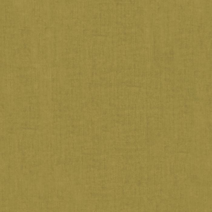 Alford Fern