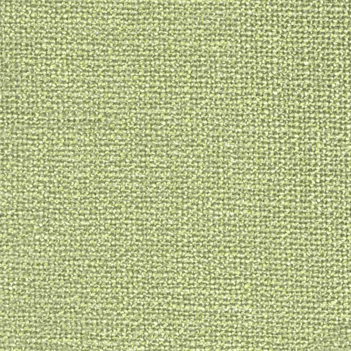 Ermine_RY Pistachio