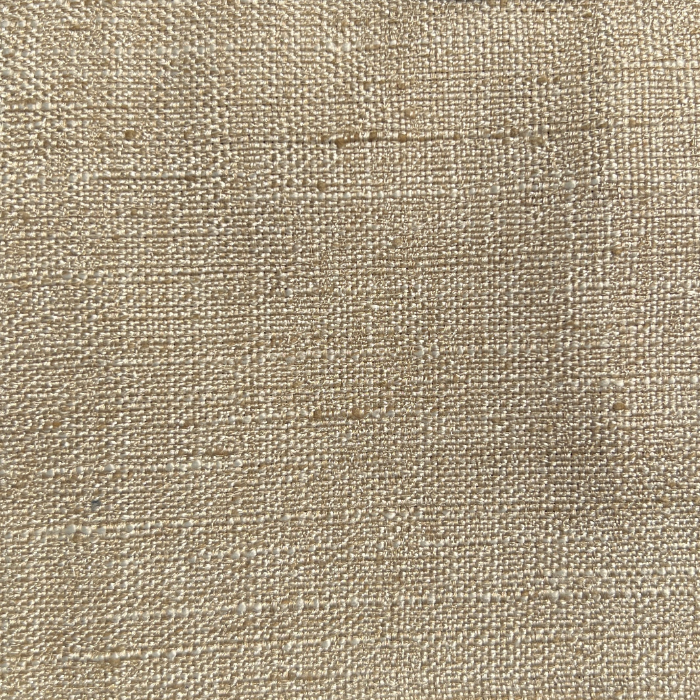 Kanchi Magnolia