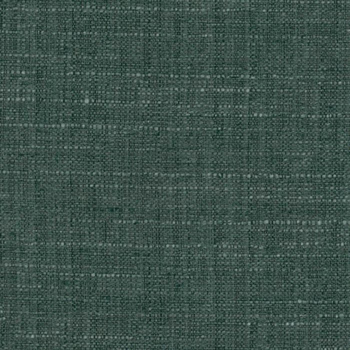 Kanchi TEAL